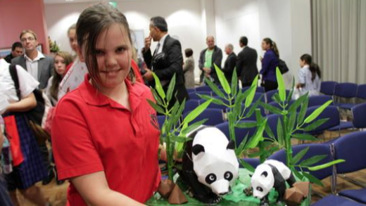 澳大利亚“熊猫竞赛”助力青少年了解中国文化